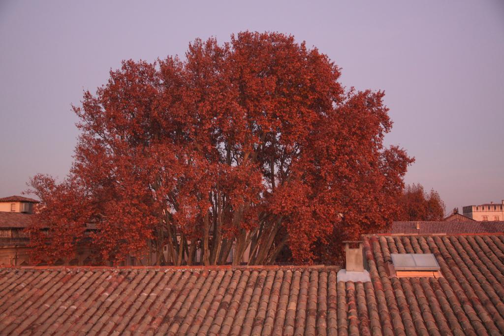 Ferienwohnung A La Terrasse D'Avignon Exterior foto